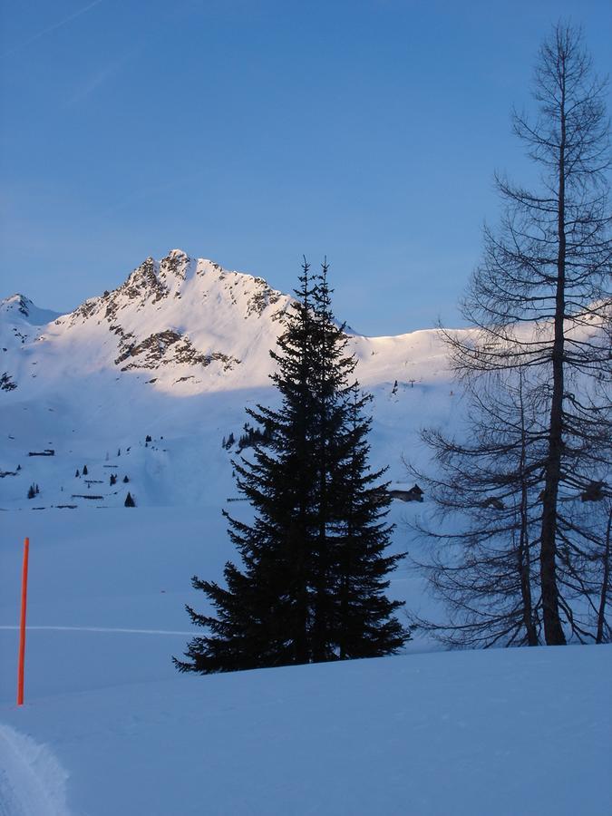 Apartment Welcome-Bienvenue-Добро Пожаловать Flachau